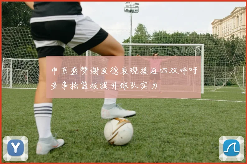 申京盛赞谢泼德表现接近四双呼吁多争抢篮板提升球队实力